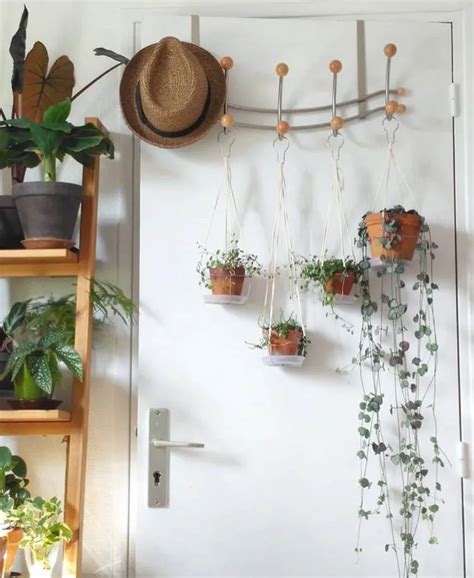 Comment Accrocher Des Plantes Suspendues Sans Percer Le Plafond Et Le