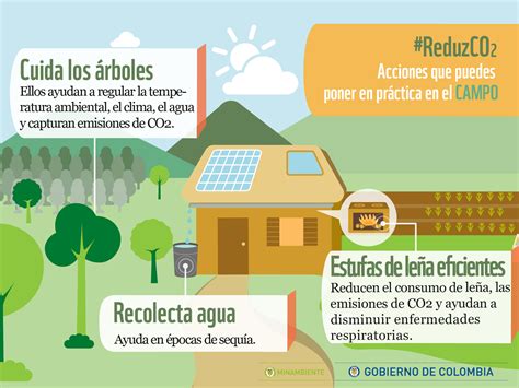 Acciones Cotidianas Que Contribuyen A Disminuir El Impacto Del Cambio Climático Ministerio De