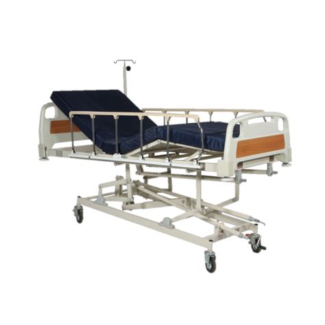 Asian Surgical Company — Category Icu Beds