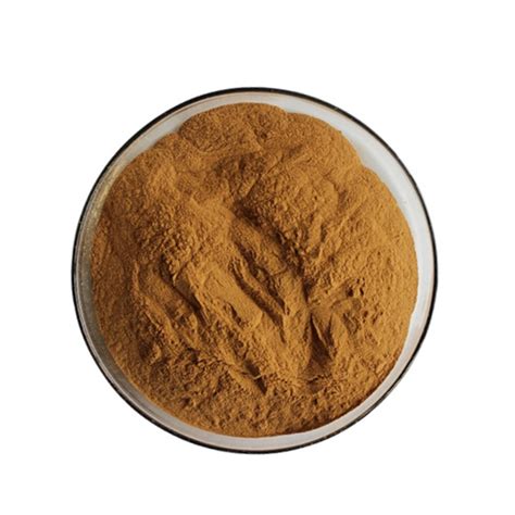 Organic Lions Lions Mane Mushroom Hericium Erinaceus Extract Powder