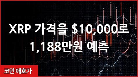 리플 Xrp 비트코인 이더리움 에이다 Xrp 가격을 10000로 1188만원 예측 Youtube