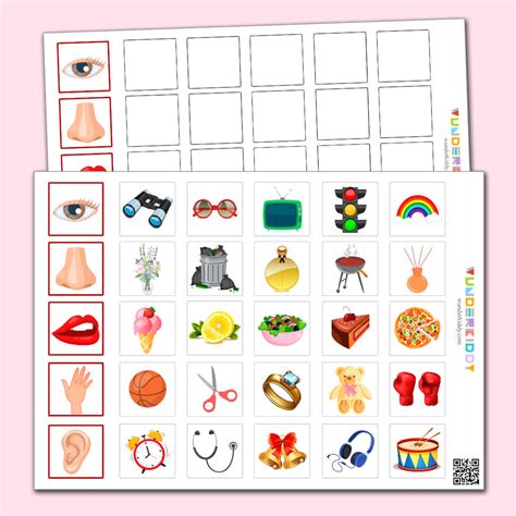 Kindergarten Printable Sorting Activity Five Senses