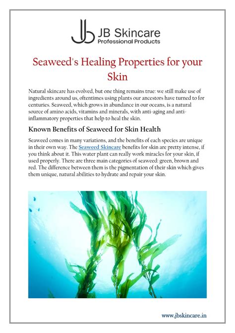 Ppt Seaweed S Healing Properties For Your Skin Powerpoint