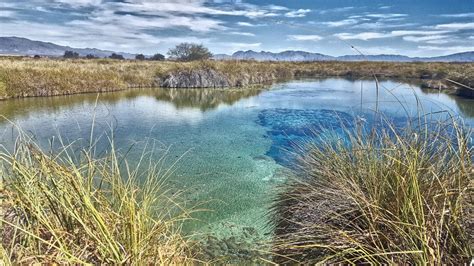 Conoce la función de las reservas ecológicas Rincones de México