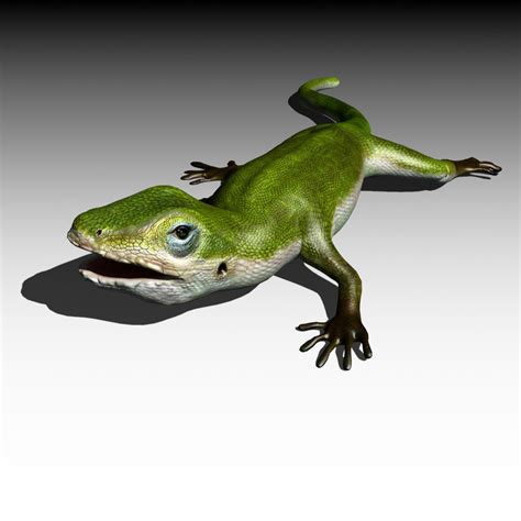 3d Model Green Lizard Animation Rigged