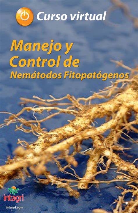 Curso virtual Manejo y Control de Nematodos Fitopatógenos Inicio