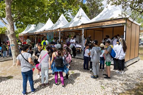 Feira Das Comunidades Educativas Re Ne Comunidade Escolar Em Alhos