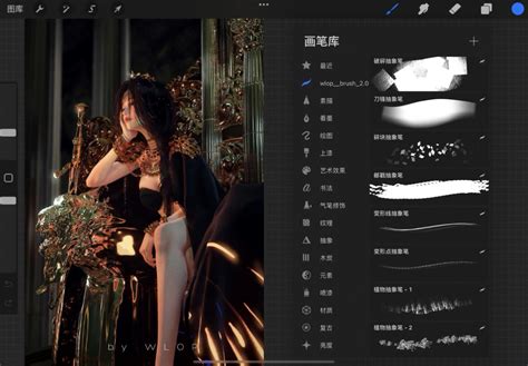 国人画师鬼刀wlop同款笔刷分享导入即可使用Procreate PS Csp 画世界 笔刷分享 哔哩哔哩