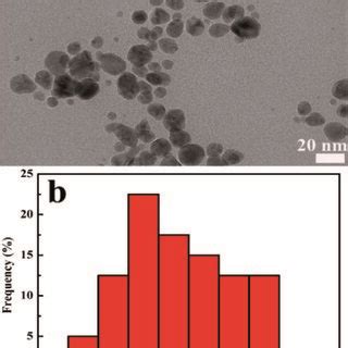 A Tem Image Of Cds Agnps Composite B Particle Size Distribution