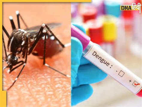 Dengue Symptoms तेजी से फैल रहा है 3 तरह का डेंगू शरीर में नजर आएं ये