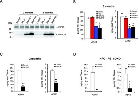 Reduced Amyloid Production And Increased Inflammatory Responses In