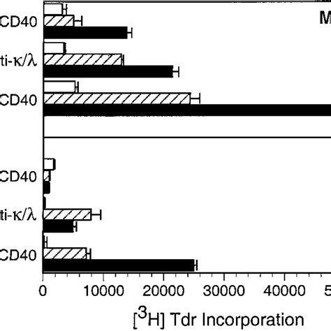 Effect Of Il 10 On Il 2 Responsiveness In Memory And Naive B