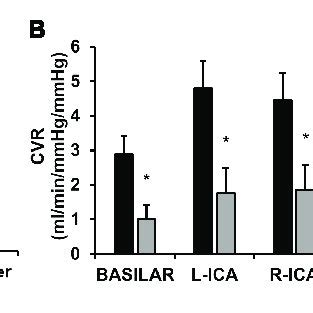 This Image Displays Cerebrovascular Reactivity Cvr To Hypercapnia