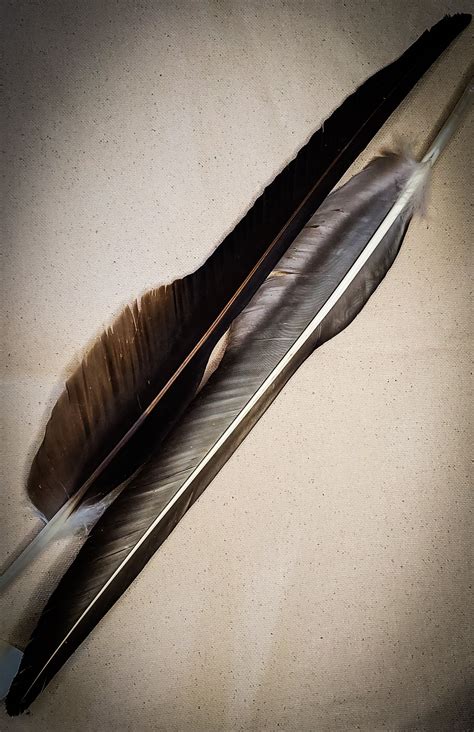Vulture Feathers — Mountain Hedgewitch