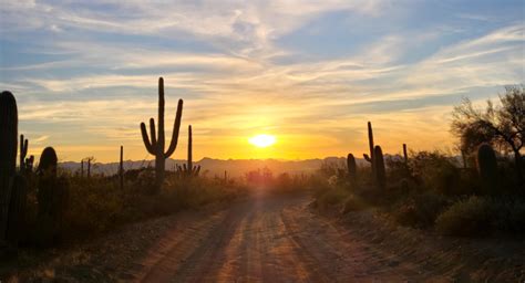 Saguaro National Park Ultimate Guide