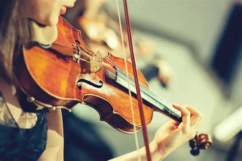 Fiddle Vs. Violin: 6 Key Differences You Must Know