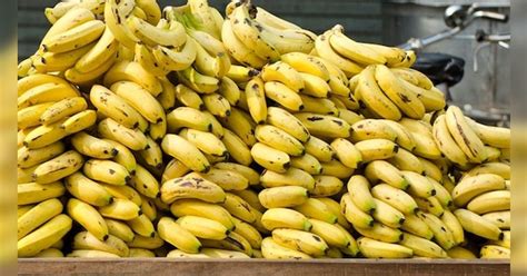 Banana Benefits For Male It Increase Stamina Libido Treat Erectile Dysfunction Shighrapatan And