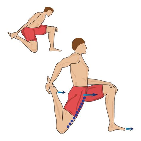 Quadriceps Kneeling Stretch How To Stretch Out Your Quads Muscle Stretches Sartorius Muscle