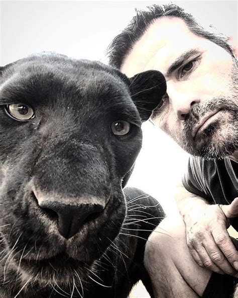 The Lion Whisperer - The Lion Whisperer | Kevin richardson, Majestic animals, Lions and hyenas