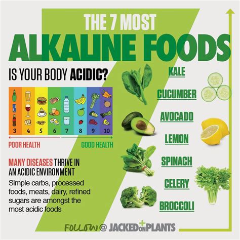 Alkaline Food Alkaline Foods Alkaline Diet Alkaline Diet Recipes