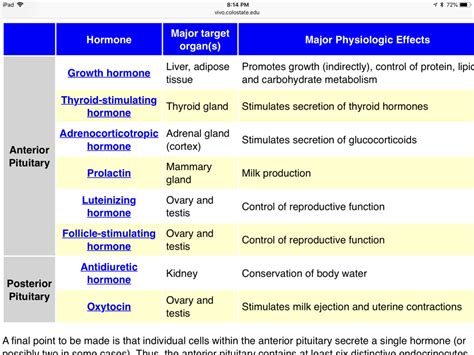 Endocrine System Hormones And Functions Chart