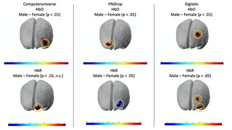 Comparison Of Hbo And Hbr Levels Between Men And Women Note The Figure Download Scientific