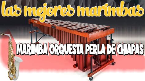 Marimba Orquesta Perla De Chiapas Las Mejores Marimbas YouTube