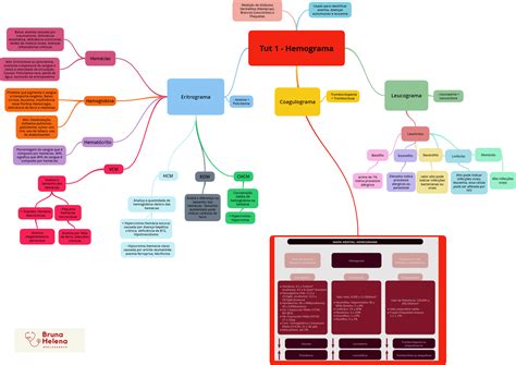 Hemograma Mapa Mental Pdf Sangre Leucocito Images And Photos Finder