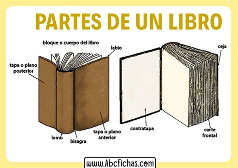 Estructura Y Partes De Un Libro