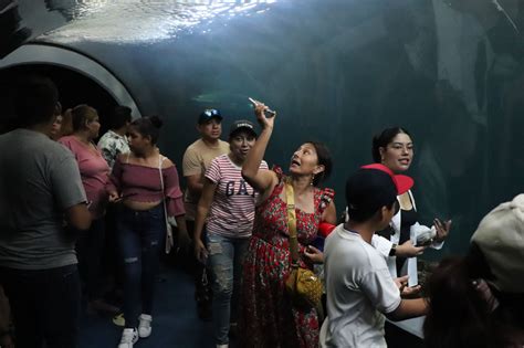 Regresan Los Martes De Entrada Gratuita En El Aquarium De Veracruz