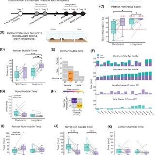 Sex Differences In Partner Preference Metrics A Schematic Of