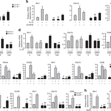 Schematic Illustration Of The Role Of LRH 1 In IL 13 Alternative