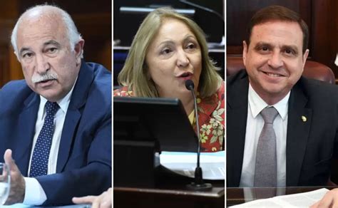 Elecciones 2023 Quiénes Son Los Diputados Y Senadores De Jujuy Que