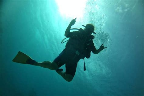 Buceo En Punta Cana Ms Dreamers