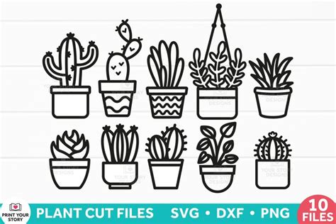 Succulents SVG Files Cactus SVG Clipart Plants 10 Files