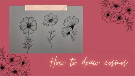 How To Draw Cosmos Easy Way To Draw Cosmos Flower Youtube