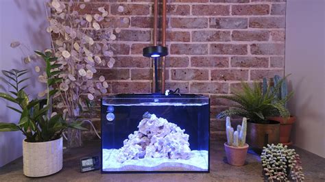 Youtube S Reef Dork Studio Nano Reef Aquarium Reef Casa