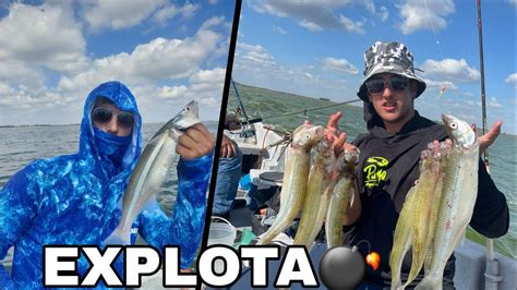 Esta Laguna Explota De Pejerrey Pesca De Pejerrey Youtube