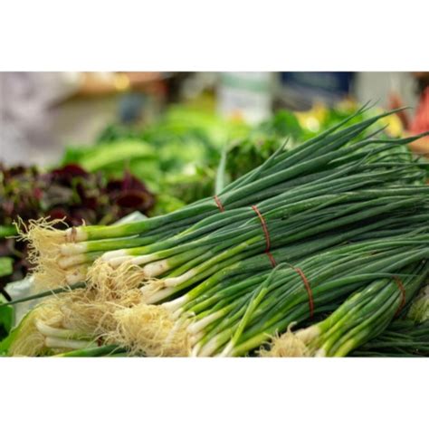 bunching onion | Awangarden