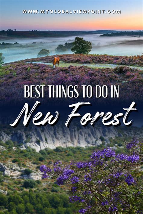 12 Best Things To Do In The New Forest Top Attractions To Visit