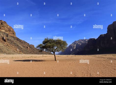 Overview Of The Desert At Wadi Rum Unesco World Heritage Site Jordan