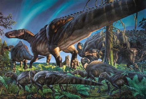 New duck-billed dinosaur found in Alaska, researchers say (Update)