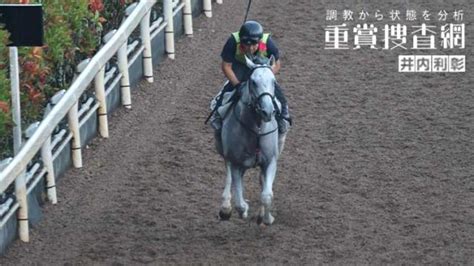 【オールカマー 2023】最終追い切りを動画で解説井内利彰 競馬動画 Netkeiba