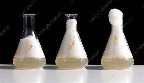 Catalase Enzyme Reaction Stock Image C Science Photo Library