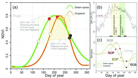 Ndvi Fluctuations Show The Phenological Difference Between Green Space