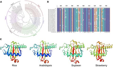 Frontiers Harnessing Current Knowledge Of Dna N Methyladenosine From