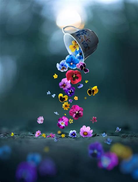 What is Conceptual Photography? (17 Inspiring Examples)