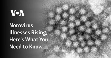 Norovirus Illnesses Rising Here S What You Need To Know