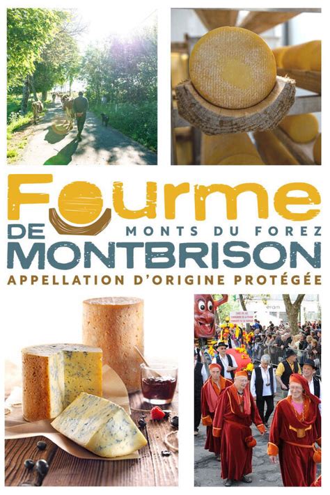 Le Guide Du Fromage