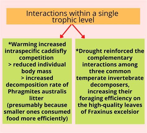 Climate Change & Arthropod Detritivores – Science? No more complicated